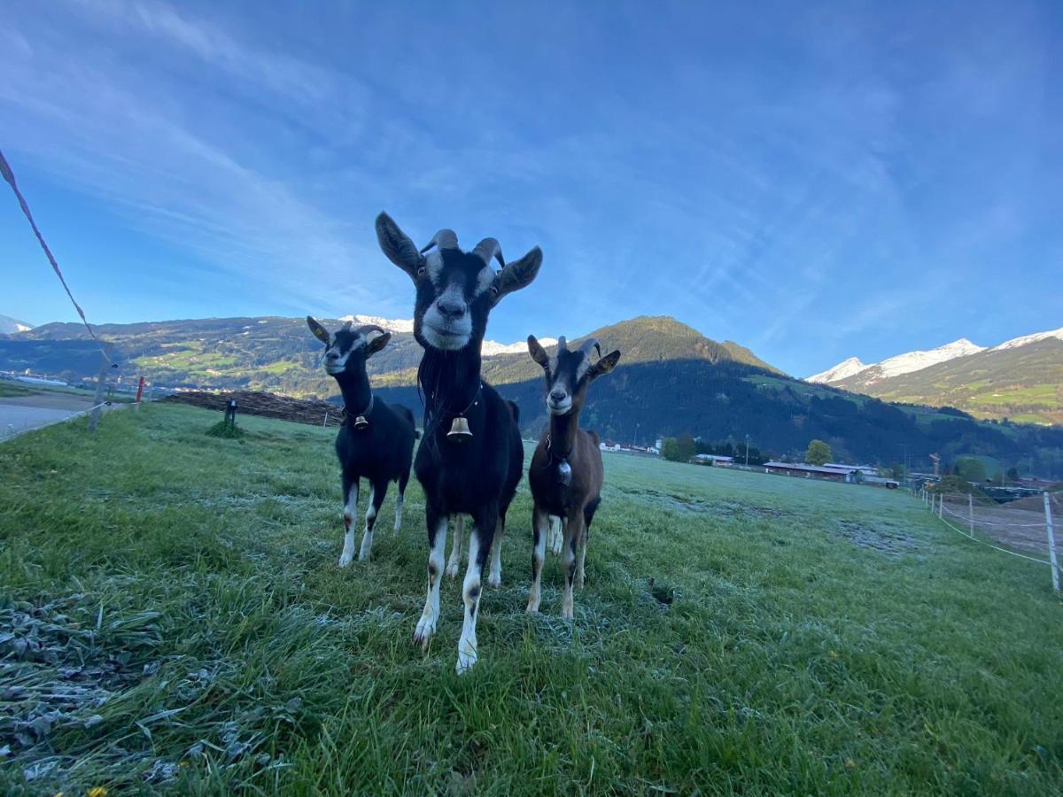 Hotel Standlhof Zillertal Uderns Dış mekan fotoğraf
